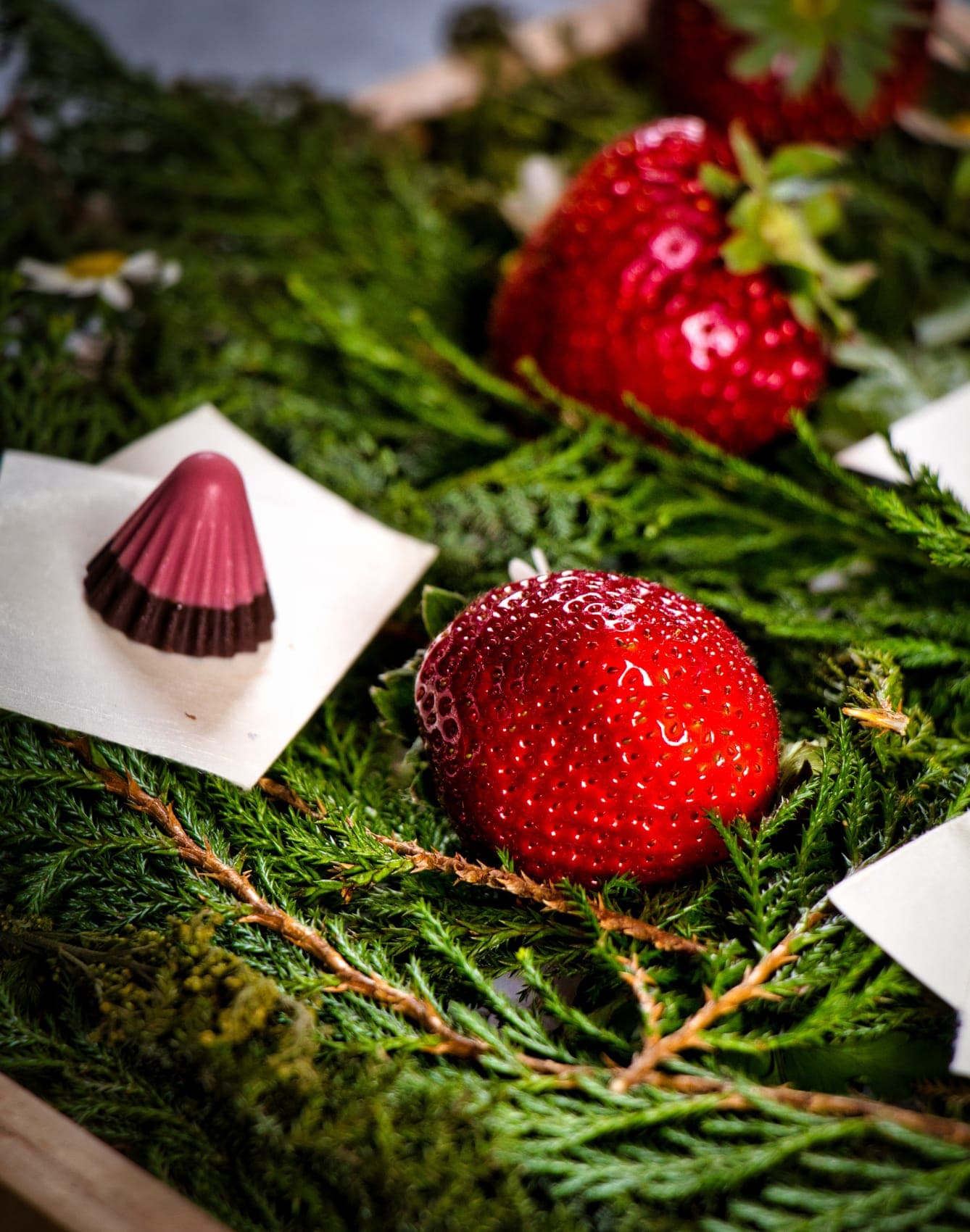 A seasonal course at Kappou